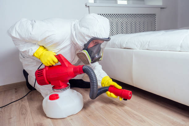 Best Affordable Pest Control Services  in Ashland, NE