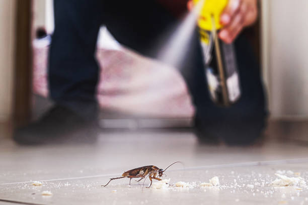 Pest Control Cost in Ashland, NE