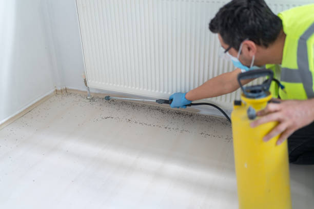 Best Affordable Pest Control Services  in Ashland, NE